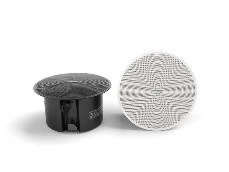 Bose Professional Designmax DM2C-LP Pieni uppokaiutin
