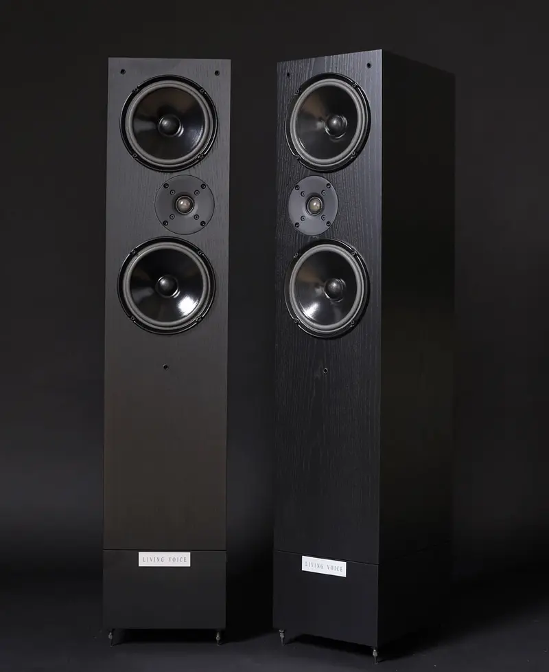 Living Voice IBX-R3