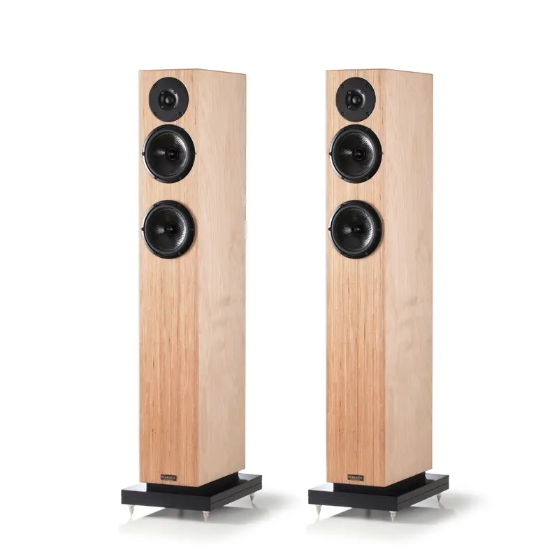 Penaudio Talvi